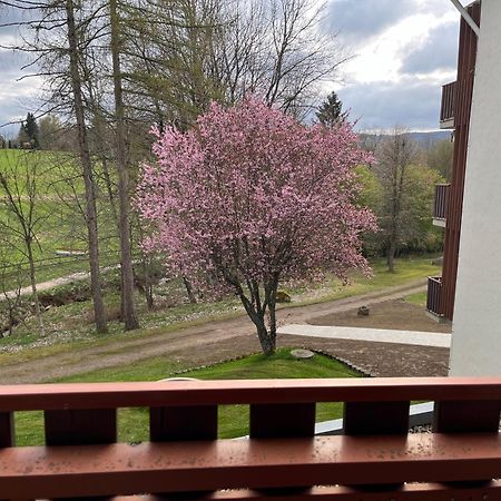 Koenigs Appartement Mit Pool Schluchsee Exterior photo