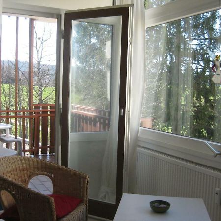 Koenigs Appartement Mit Pool Schluchsee Exterior photo