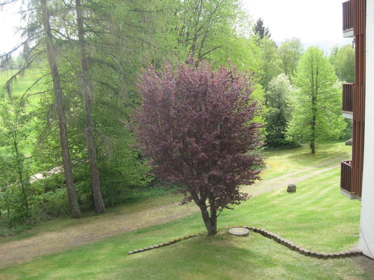Koenigs Appartement Mit Pool Schluchsee Exterior photo