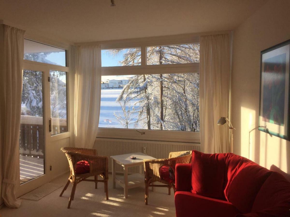 Koenigs Appartement Mit Pool Schluchsee Exterior photo